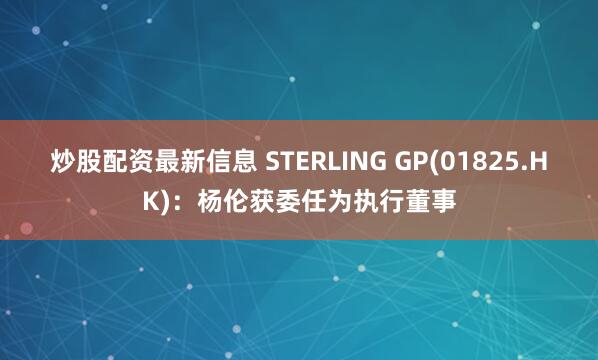 炒股配资最新信息 STERLING GP(01825.HK)：杨伦获委任为执行董事
