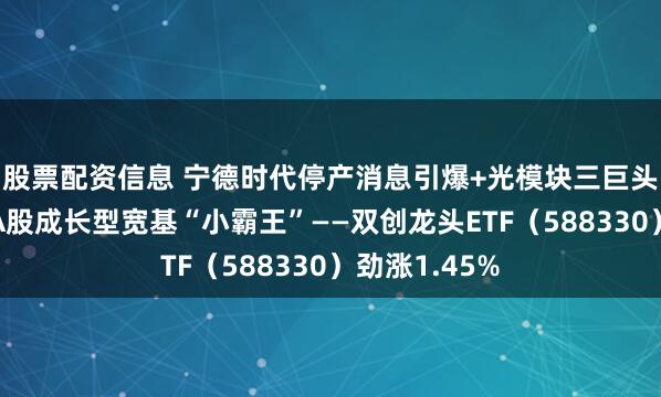 股票配资信息 宁德时代停产消息引爆+光模块三巨头同步冲高，A股成长型宽基“小霸王”——双创龙头ETF（588330）劲涨1.45%