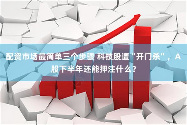 配资市场最简单三个步骤 科技股遭“开门杀”，A股下半年还能押注什么？